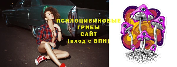 героин Инсар