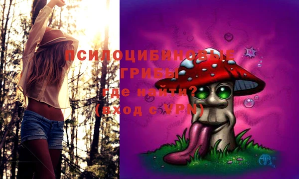 ALPHA PVP Иннополис