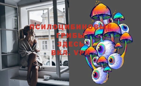 ALPHA PVP Иннополис
